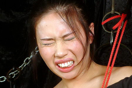 Asian Tit Torment