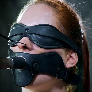 Calico Lane is bound