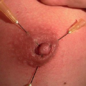 Pussy & Tit Torture