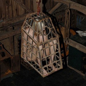 Sasha Sparks in cage