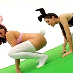Playful porn bunnies