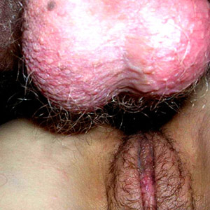 Nextdoor wives porno