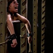 ElitePain Whipping Film